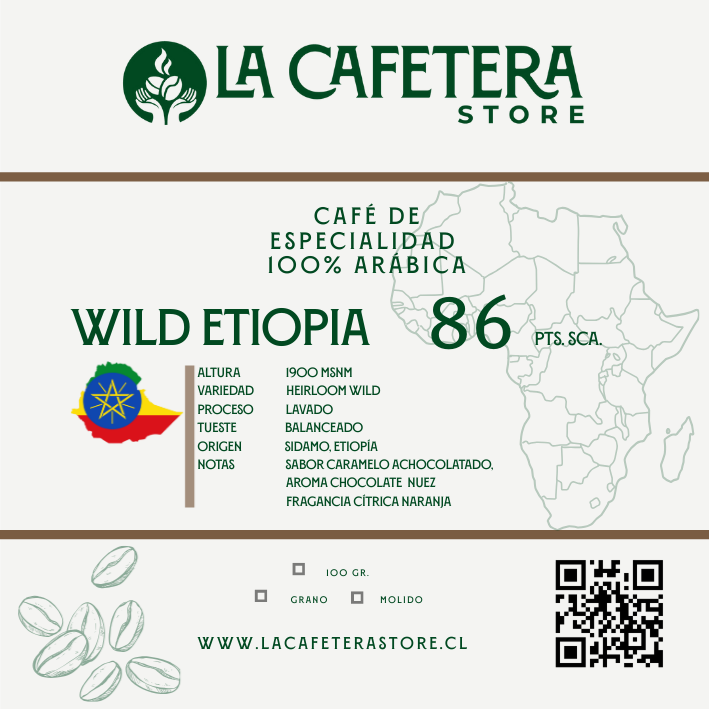 Pack Cafés del Mundo formato GRANO entero 5x100 gr. c/u (500 gr.)