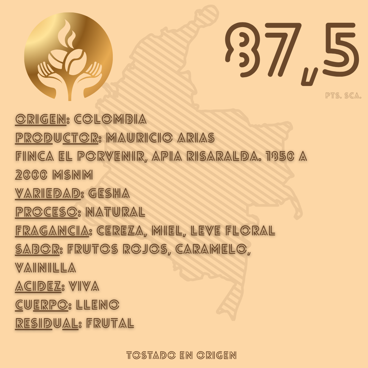 Café diferenciado Gesha Natural 87,5 SCA
