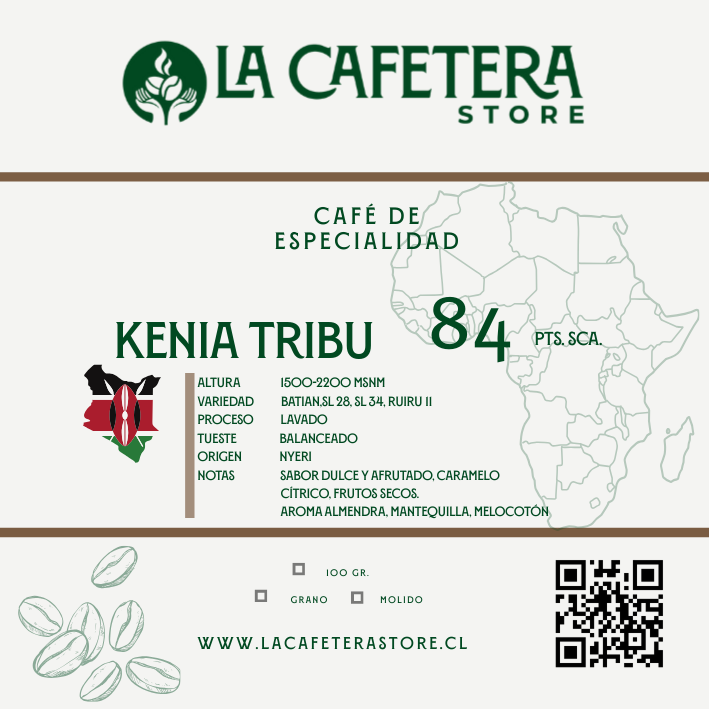 Pack Cafés del Mundo formato GRANO entero 5x100 gr. c/u (500 gr.)