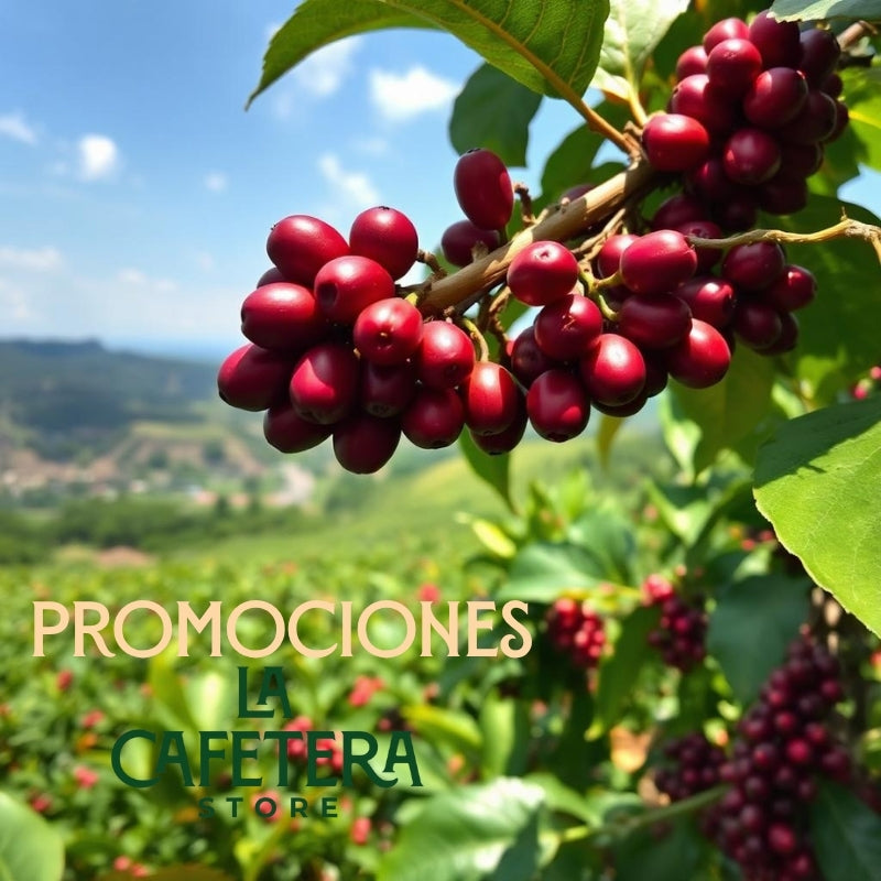 Promociones