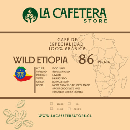 Café Wild Etiopia 86 SCA
