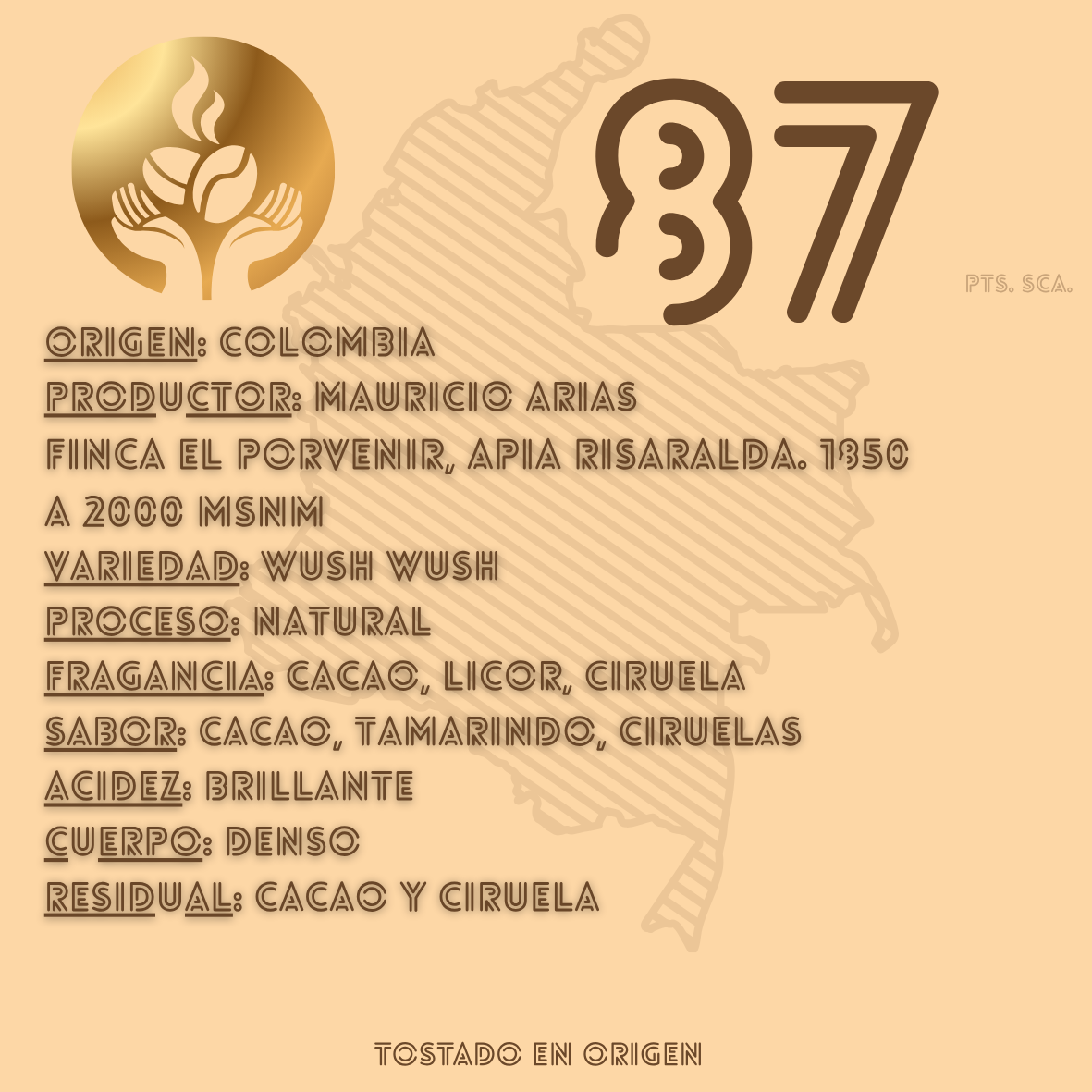 Café diferenciado Wush Wush Natural 87 SCA