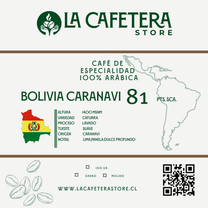 Pack Cafés de Latinoamérica formato grano MOLIDO 5x100 gr. c/u (500 gr.)