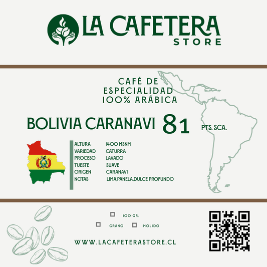 Pack Cafés del Mundo formato GRANO entero 5x100 gr. c/u (500 gr.)