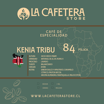 Café Kenia Tribu 84 SCA