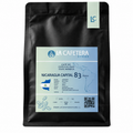 Nicaragua Capital | 83 SCA