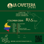 Colombia Gesha Natural | 87,5 SCA